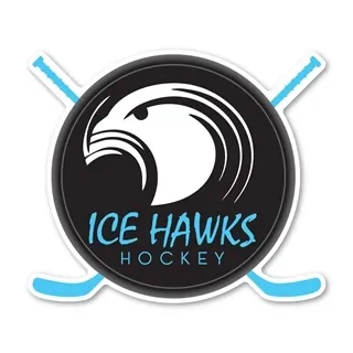 4" x 3.4" Hockey Puck & Sticks